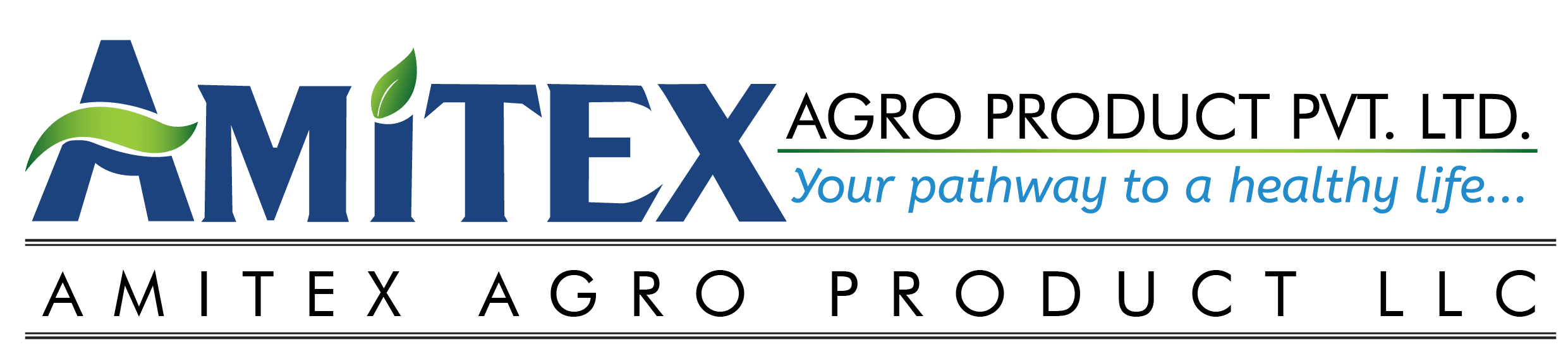 AMITEX AGRO PRODUCT PVT LTD