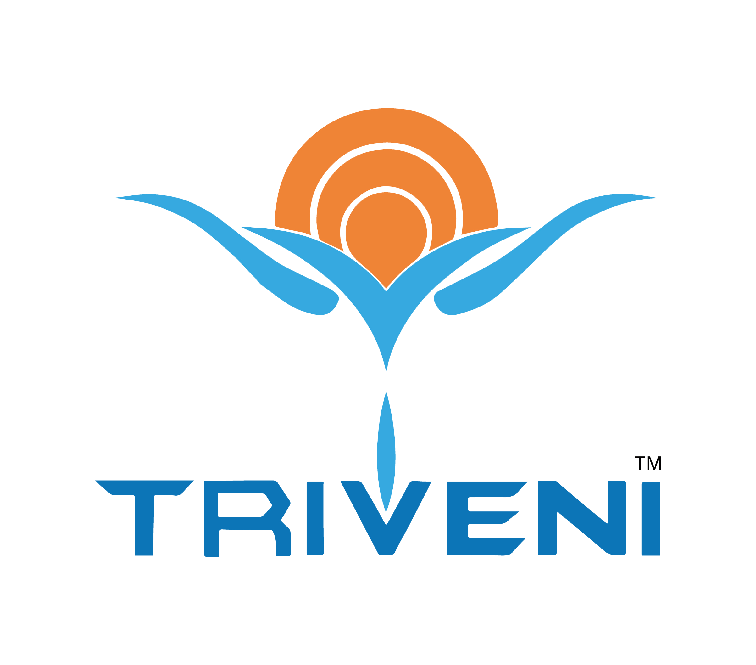 Triveni Global Pvt Ltd